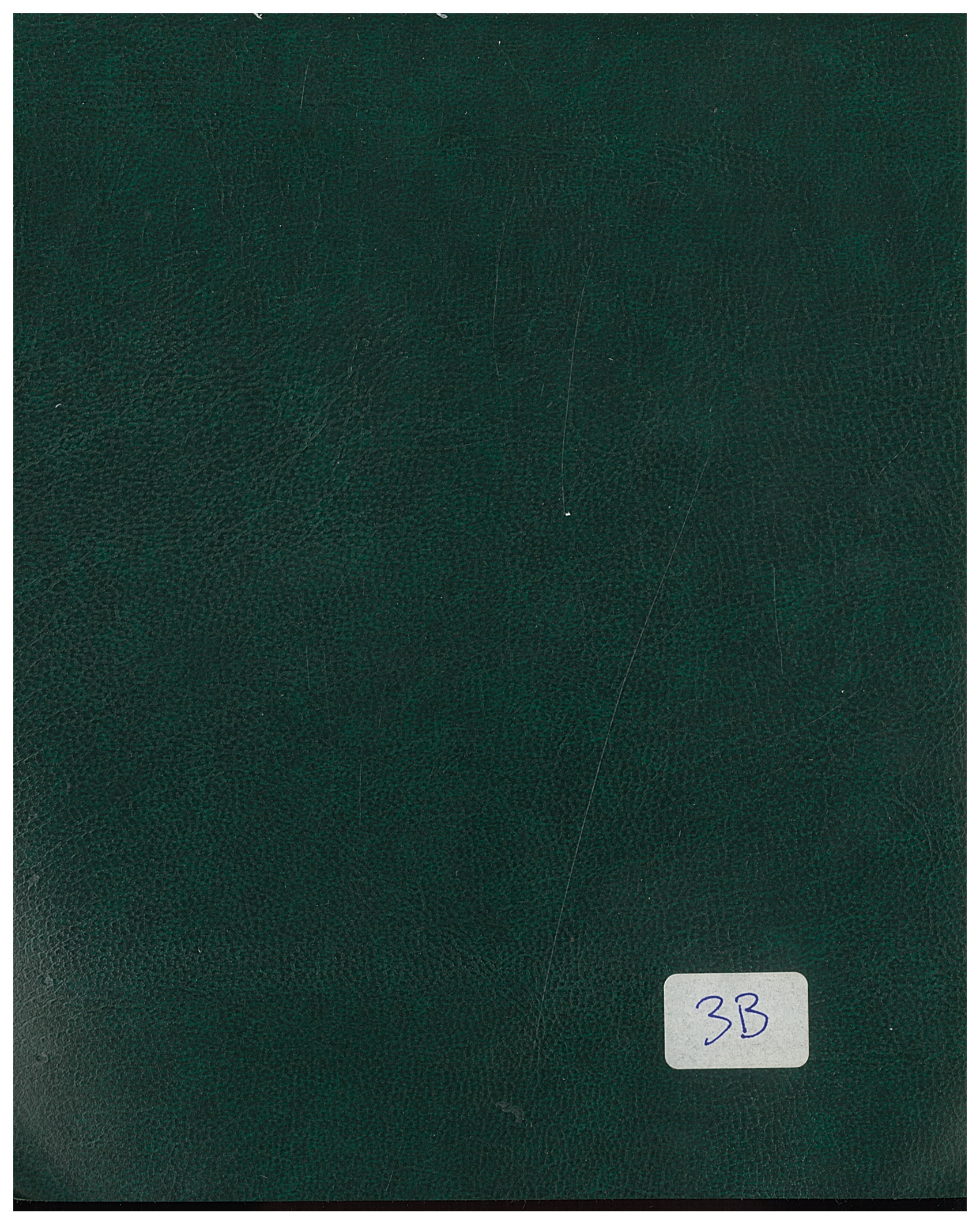Colore balacron 3B per rilegatura tesi