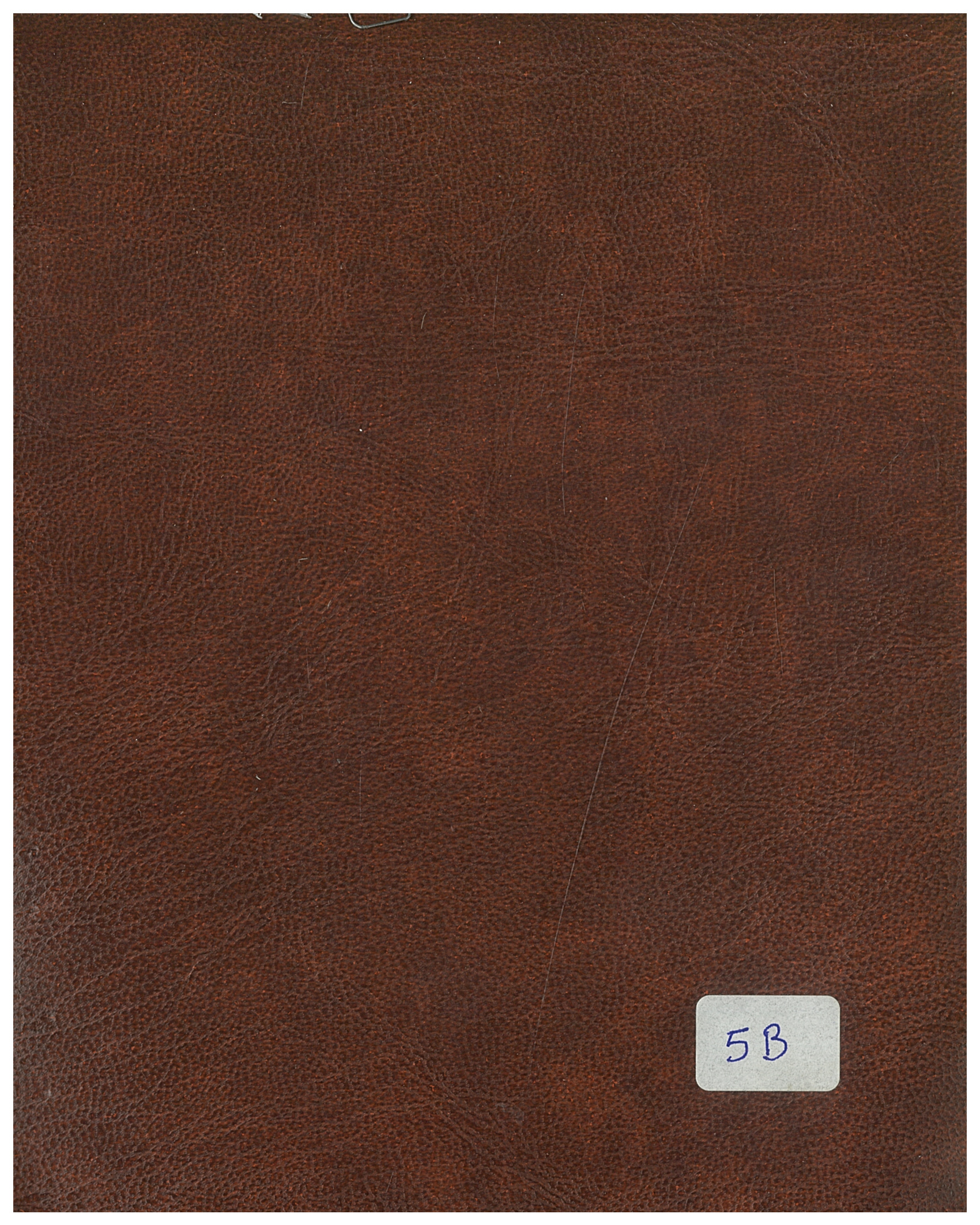 Colore balacron 5B per rilegatura tesi