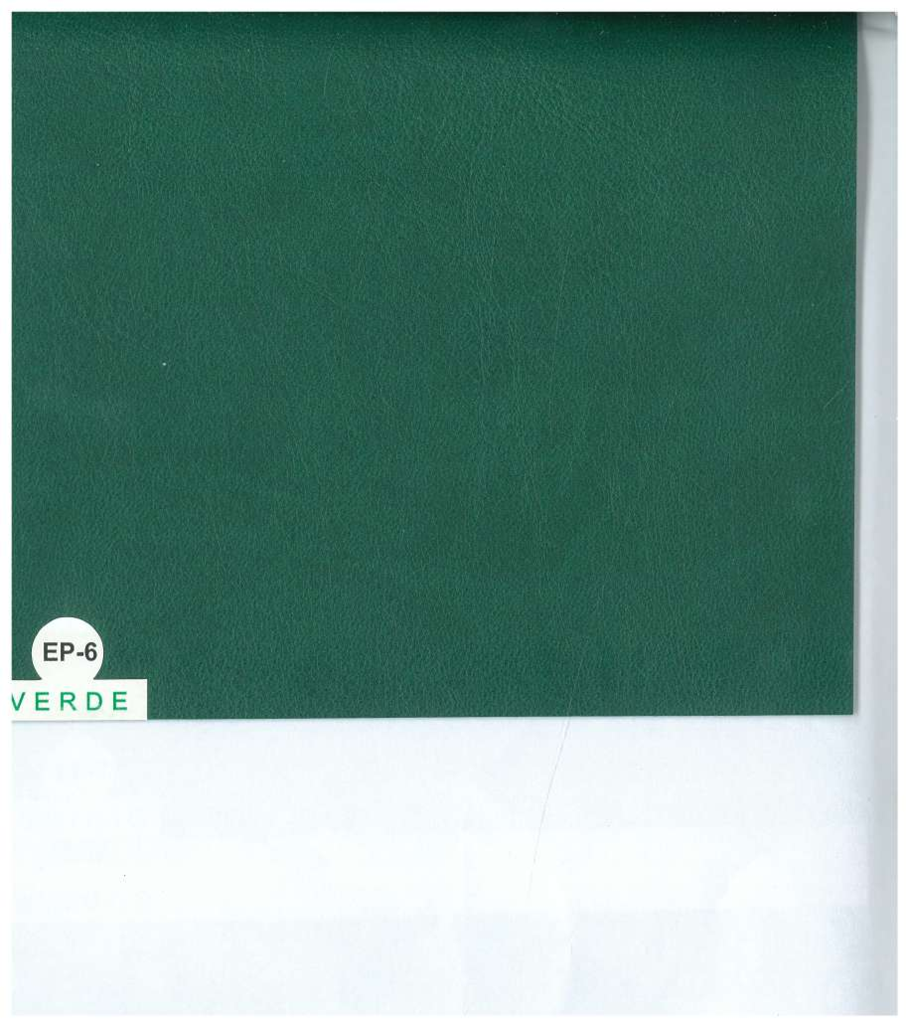 Colore Ecopelle verde per rilegatura tesi