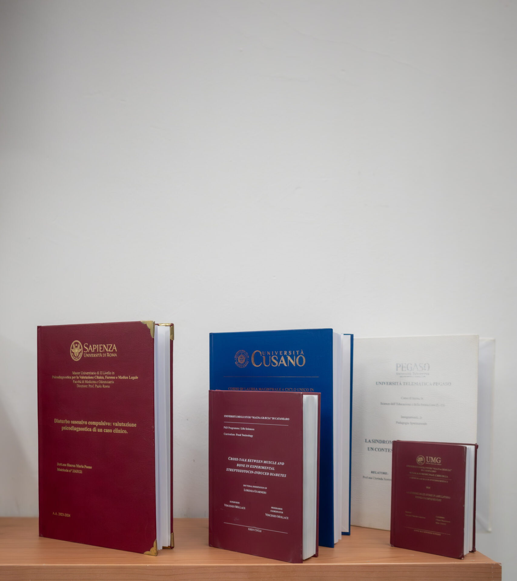 Servizio rilegatura tesi a Catanzaro